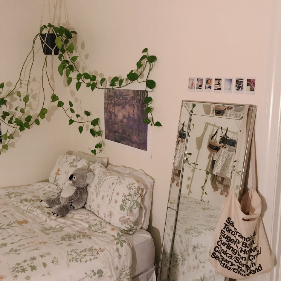Комнатные цветы в интерьере спальни