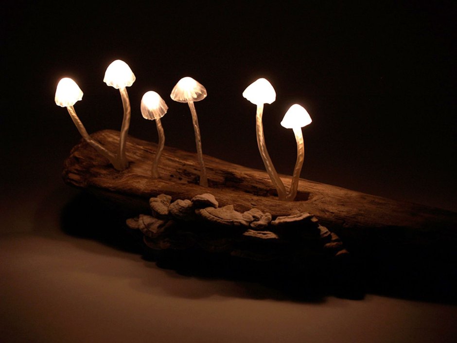 Ночник светодиодный грибы