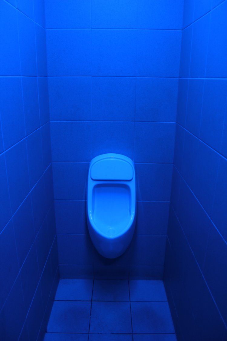 Синий туалет