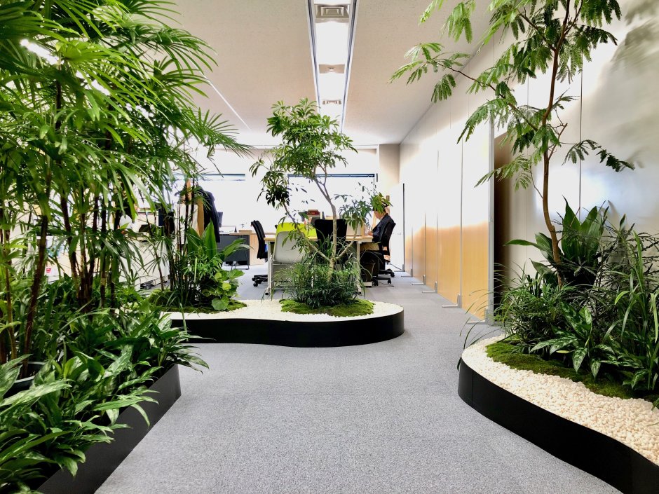 Озеленение офиса искусственными растениями