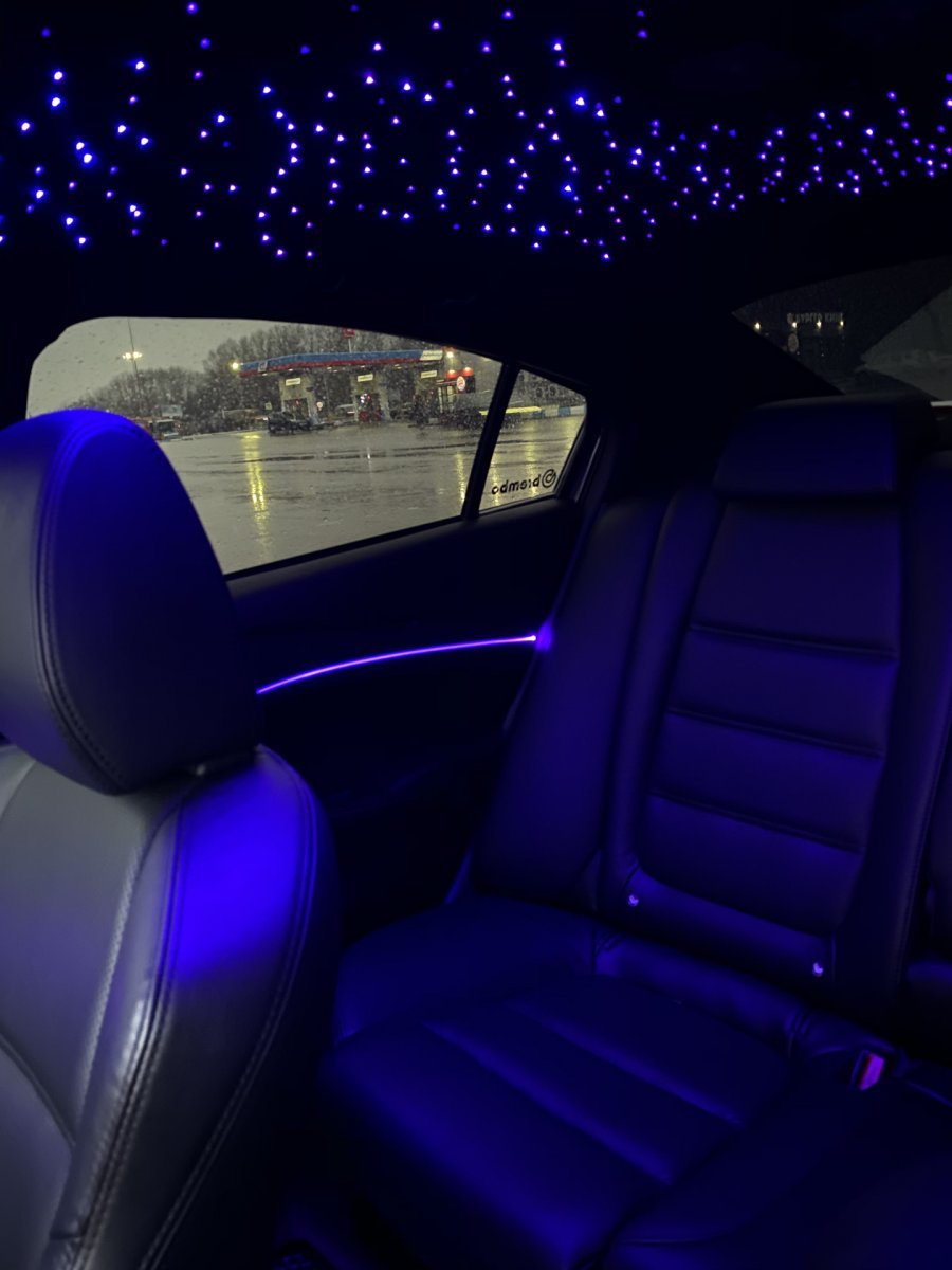 Алькантра Холланд