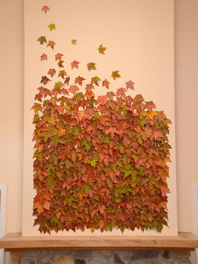 Стена из осенних листьев