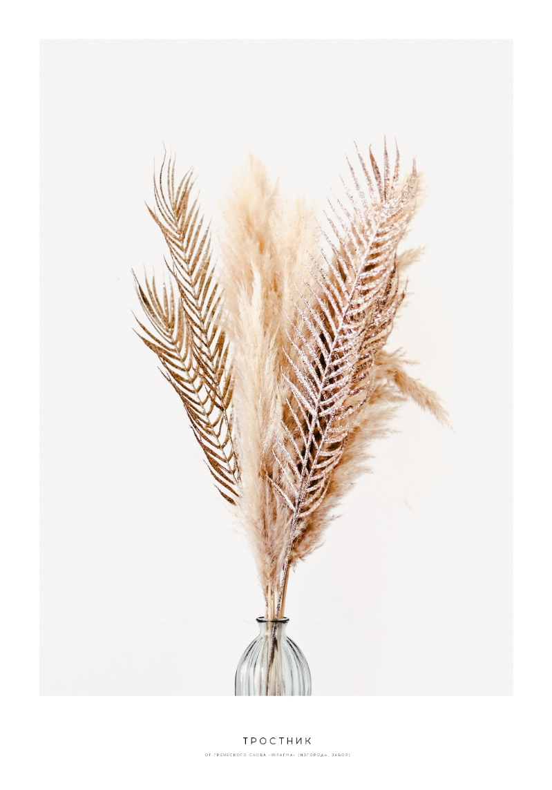 Сухие травы и перья