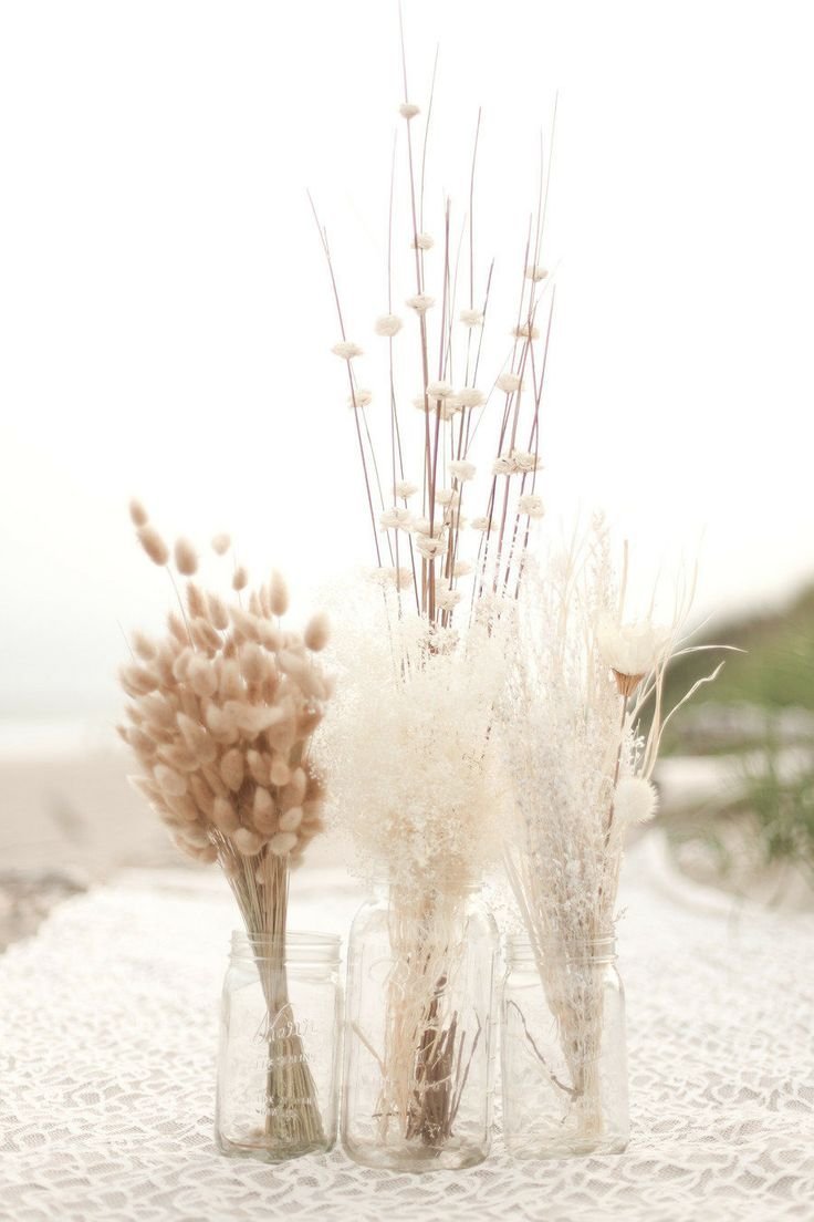 Пампасная трава ветка сухоцвет