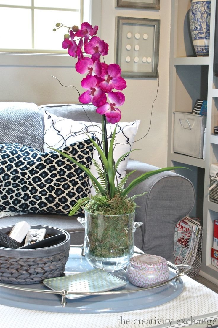 Орхидея с суккулентами