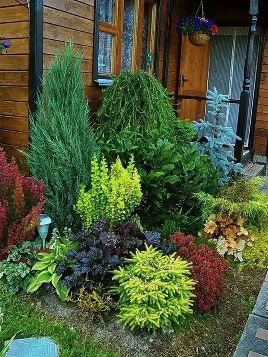 Миксбордер туя гортензия Барбарис можжевельник