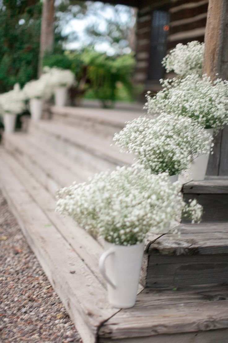 Гипсофила метельчатая на даче