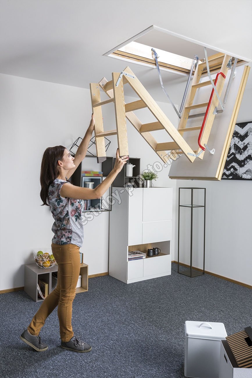 Stairs to the Attic 3d model