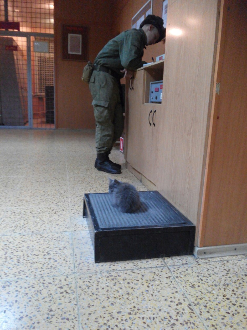 Женщина в гараже