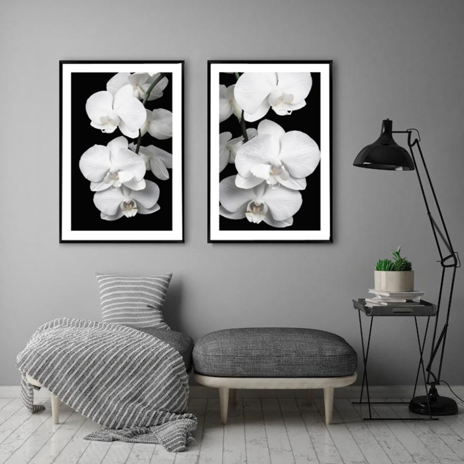 Постеры в черно белом цвете