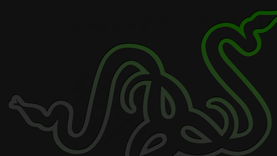 Рейзер 1920 1080