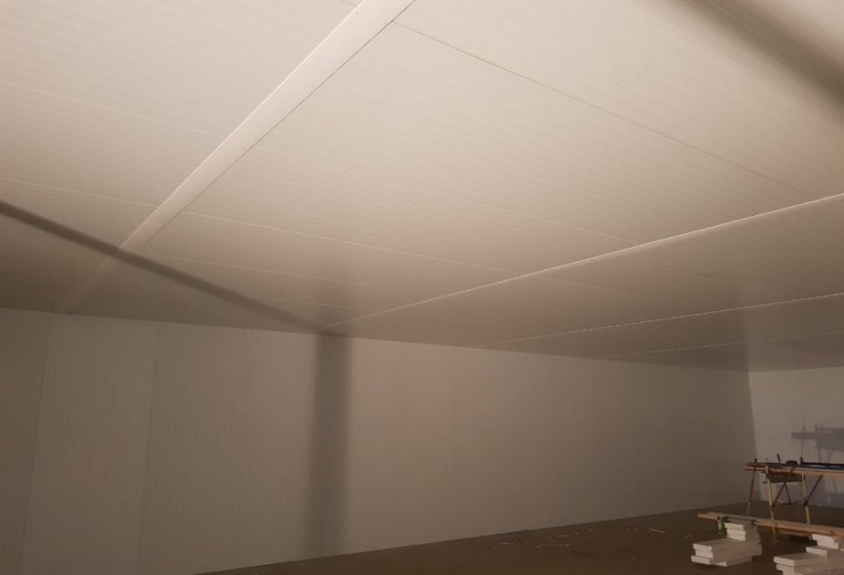 Сэндвич панели для потолка 24мм2