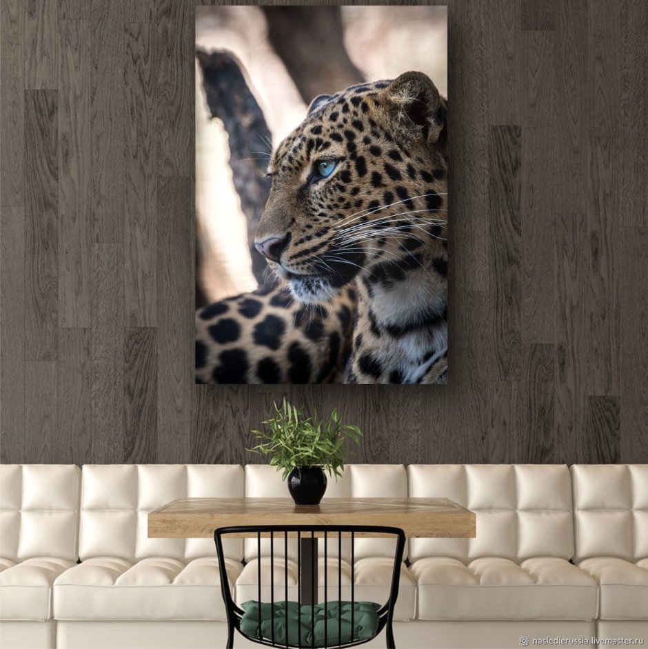 Принты животных