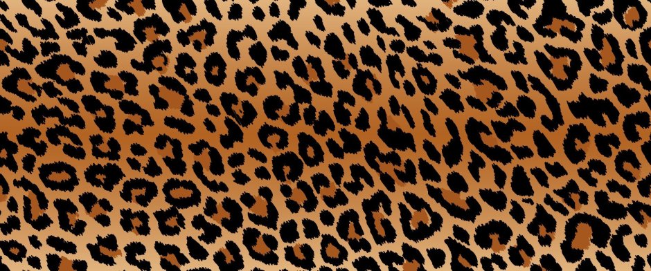 Леопардовый принт вектор