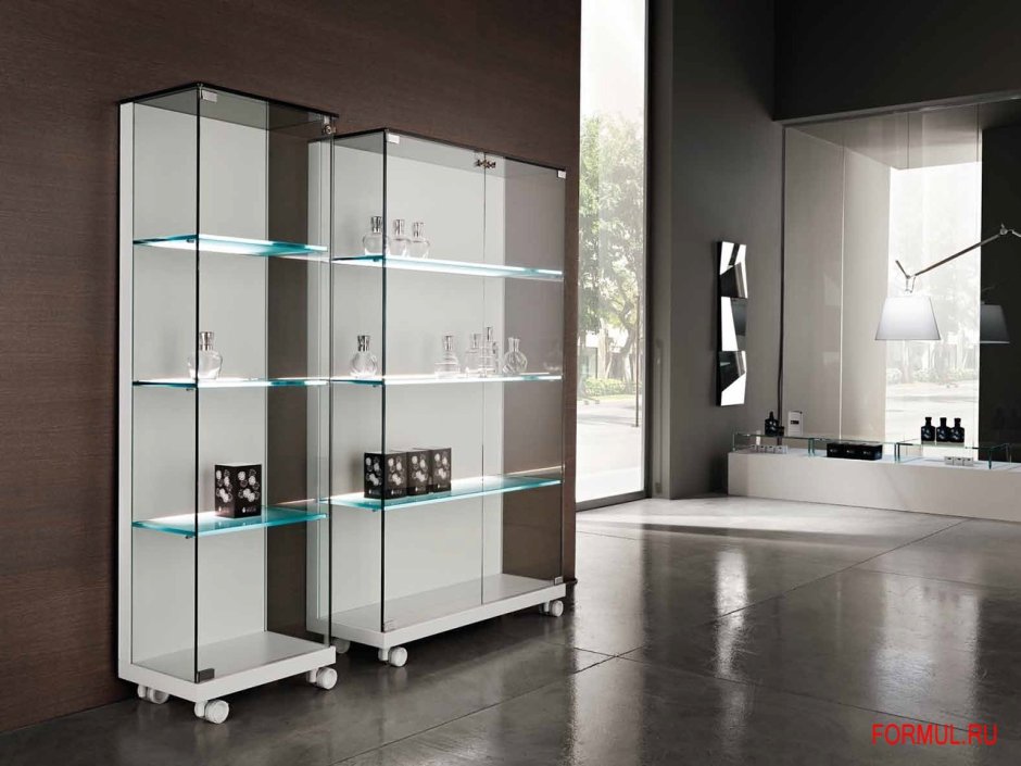 Витрина для книг