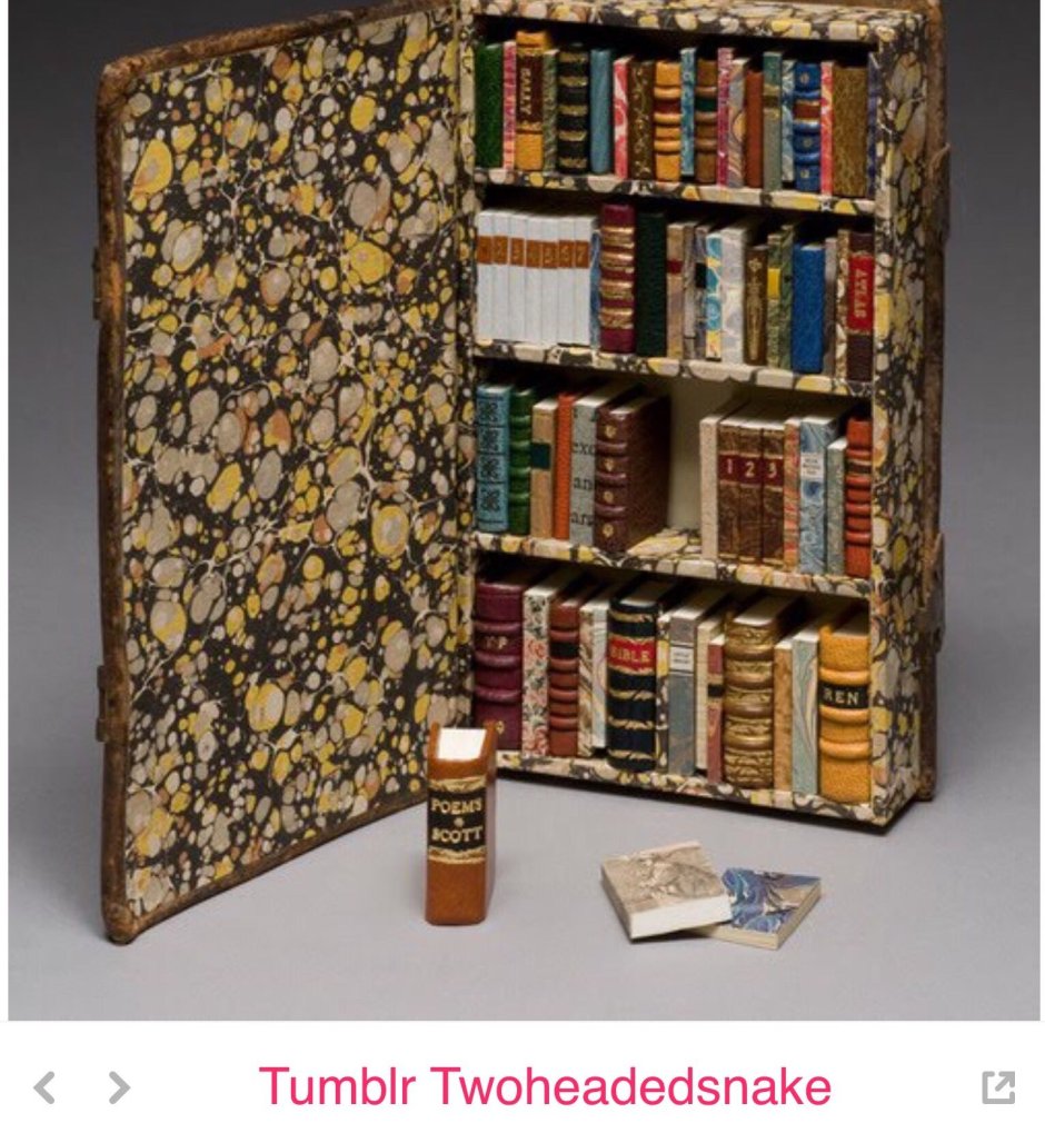 Миниатюра книжный шкаф