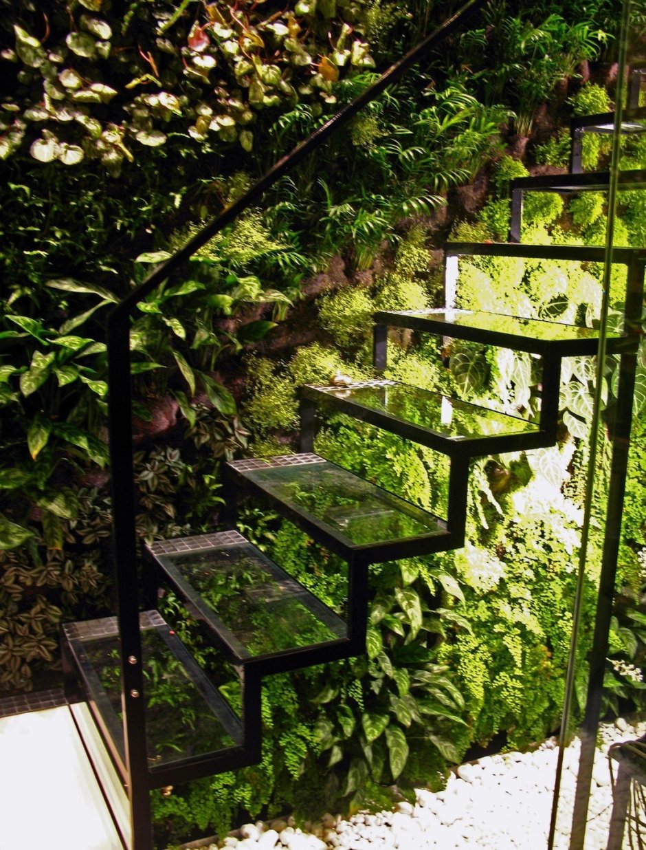 Зеленая лестница