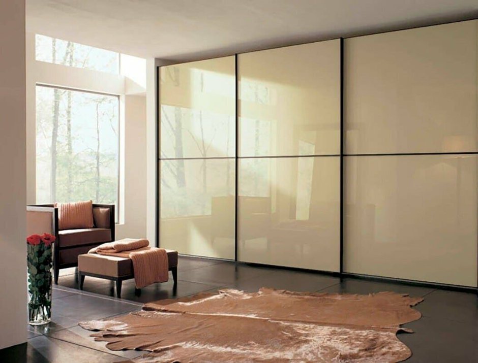Шкаф со стеклом в прихожую