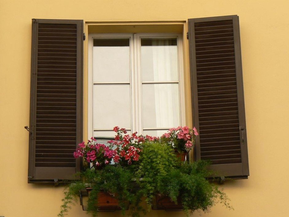 Тревизо ставни