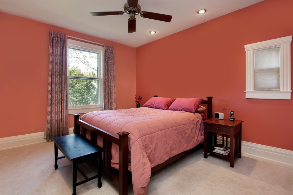 Пантон коралловый палитра