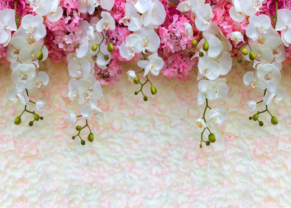 Фотообои орхидеи