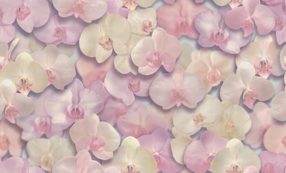 Обои нс71421-25