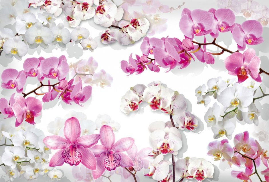 Фотообои Vostorg VIP