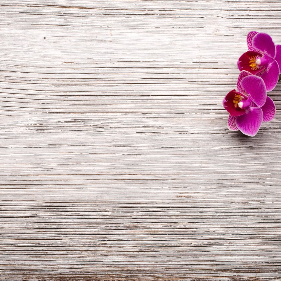 Орхидеи на Светлом фоне