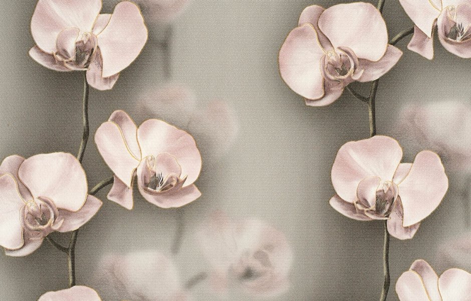 Обои с орхидеями для стен