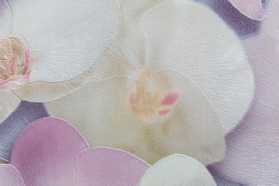 Орхидея на коричневом фоне