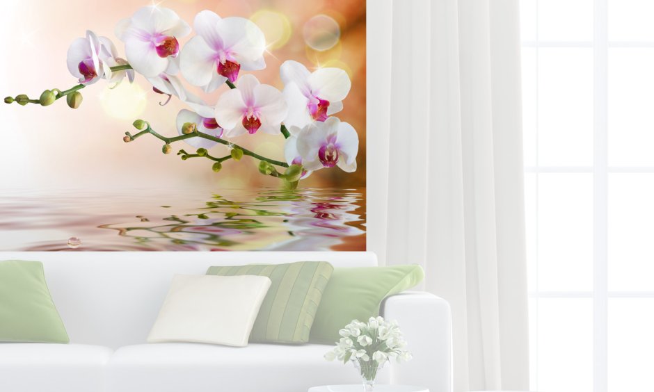 Фотообои орхидеи