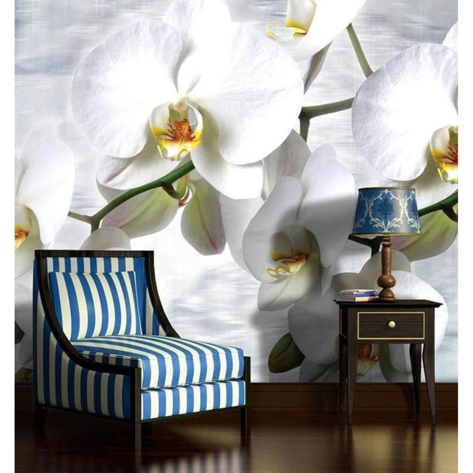 Фотообои орхидеи