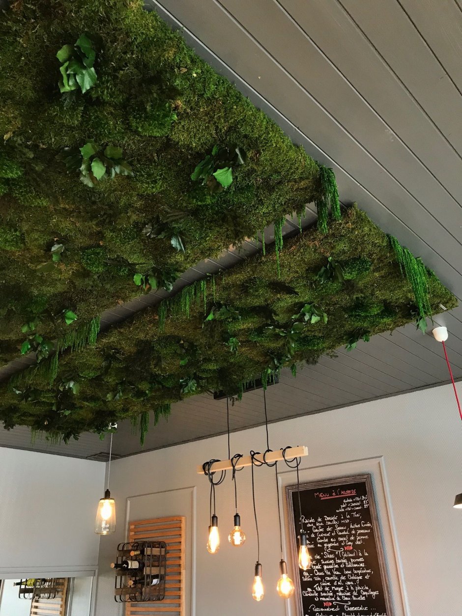 Потолок из искусственных растений