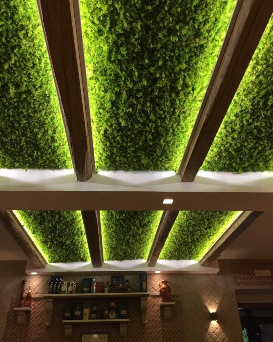 Искусственная зелень на потолке