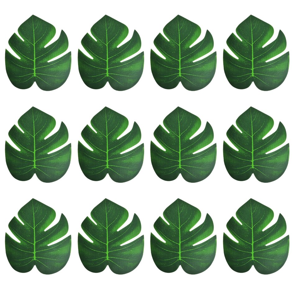 Тропические листья для печати