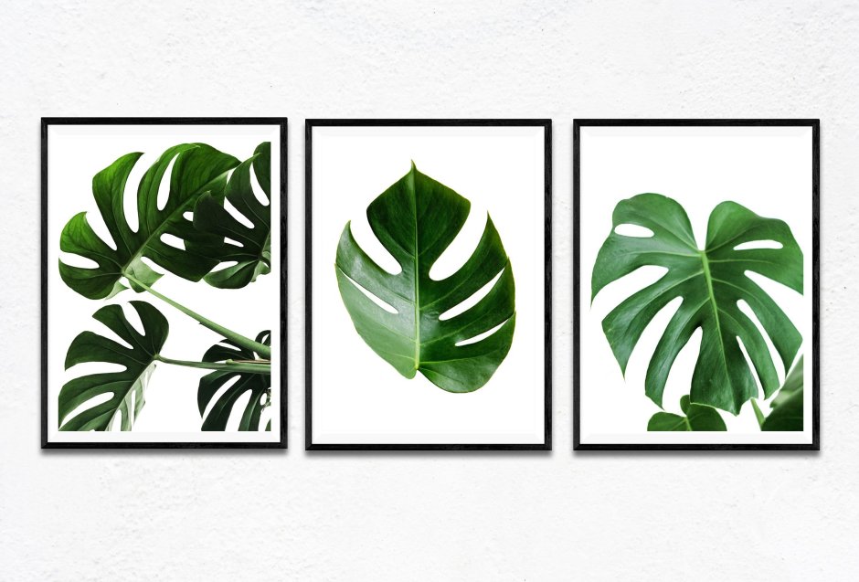 Тропические листья триптих