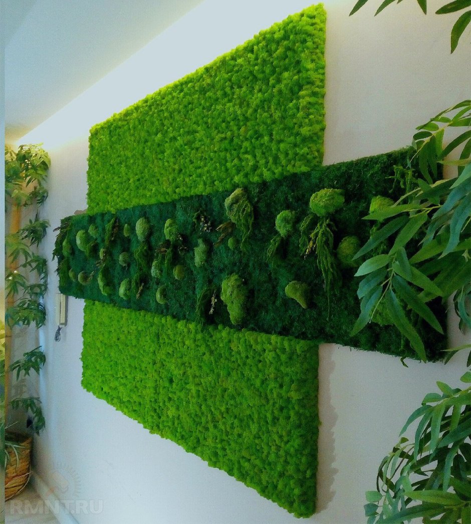 Стена из растений в интерьере