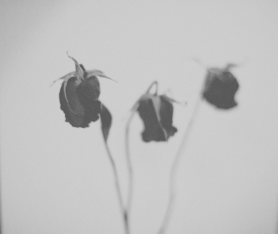 Эстетичные чб картины