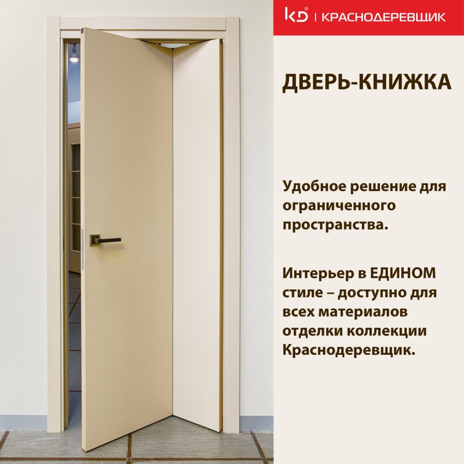 Дверь книжка