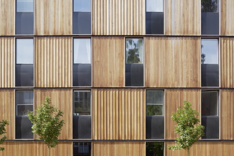 Комбинированный фасад планкен и камень