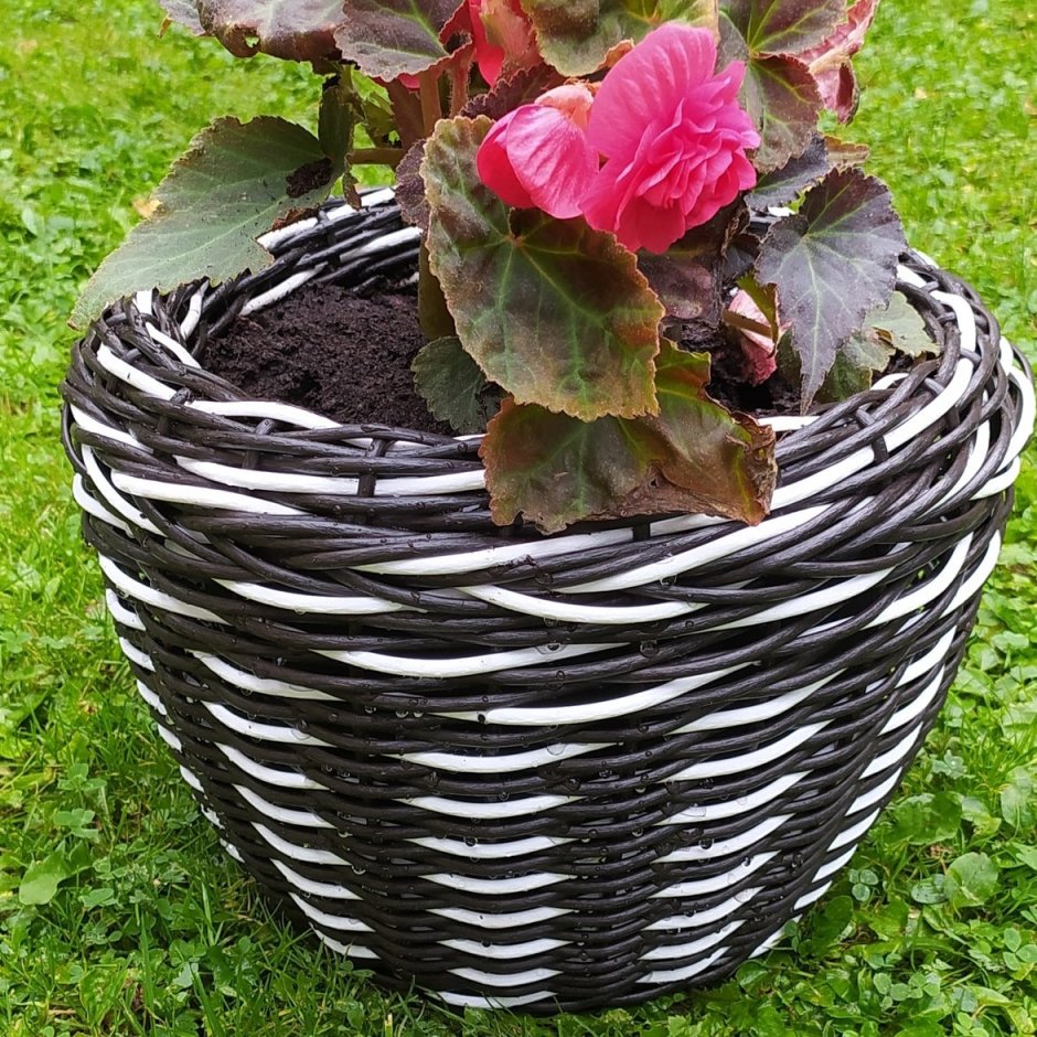 Горшок из полиротанга