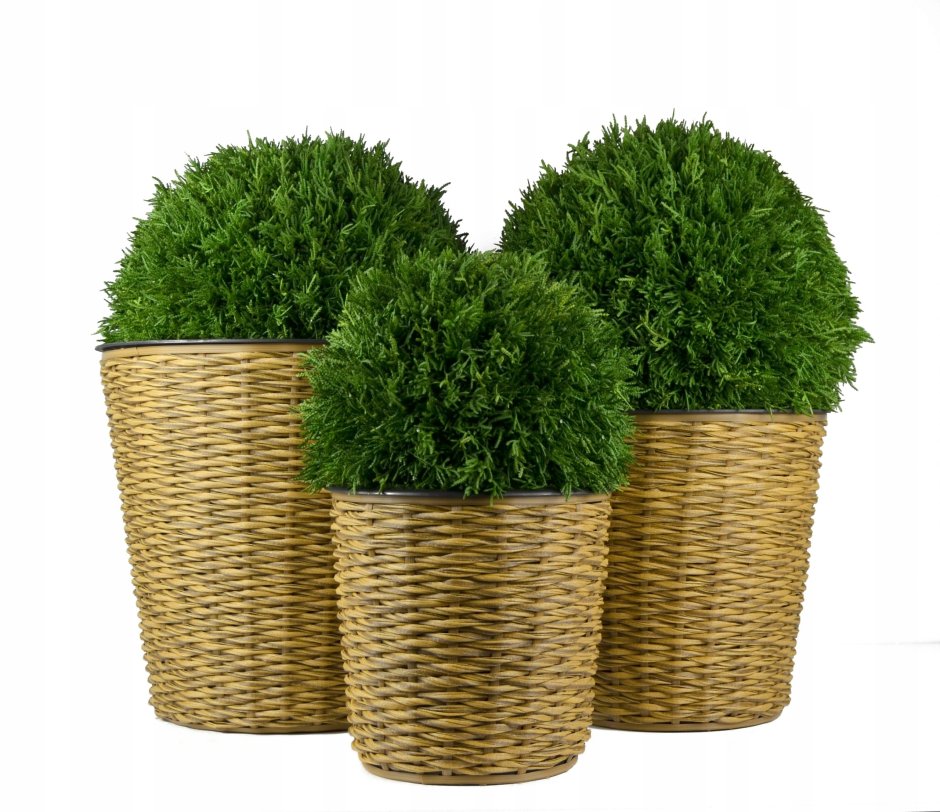 Плошки из ротанга