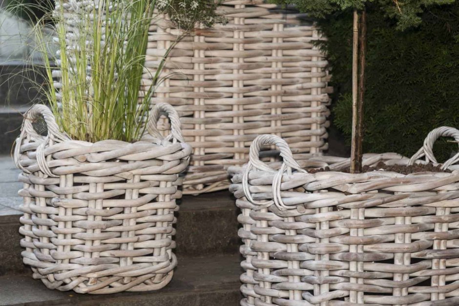 Контейнерное Озеленение патио