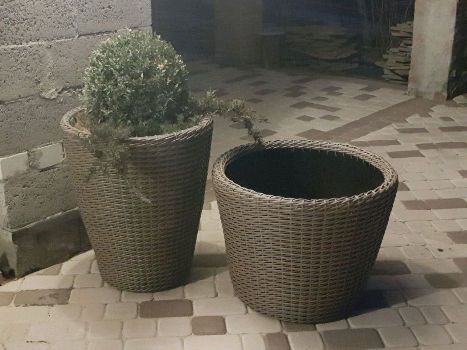 Контейнерное Озеленение патио