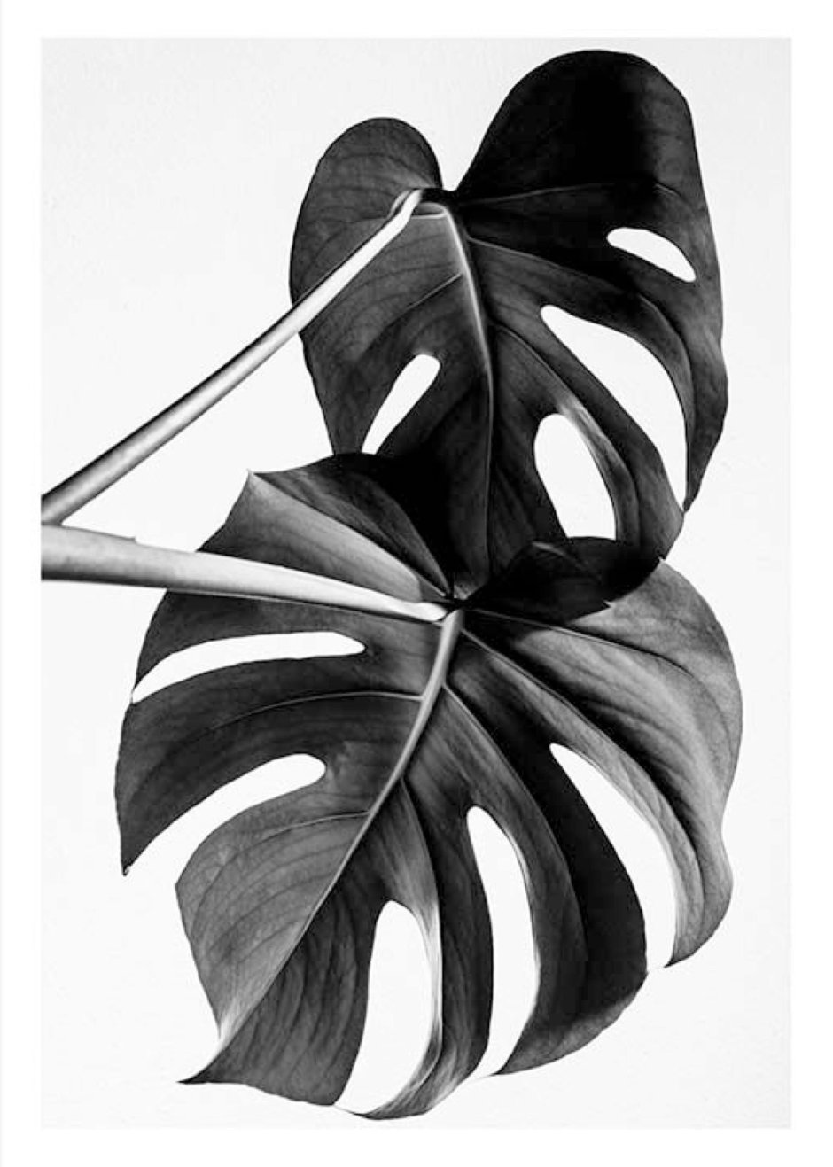 Красивые черно белые постеры