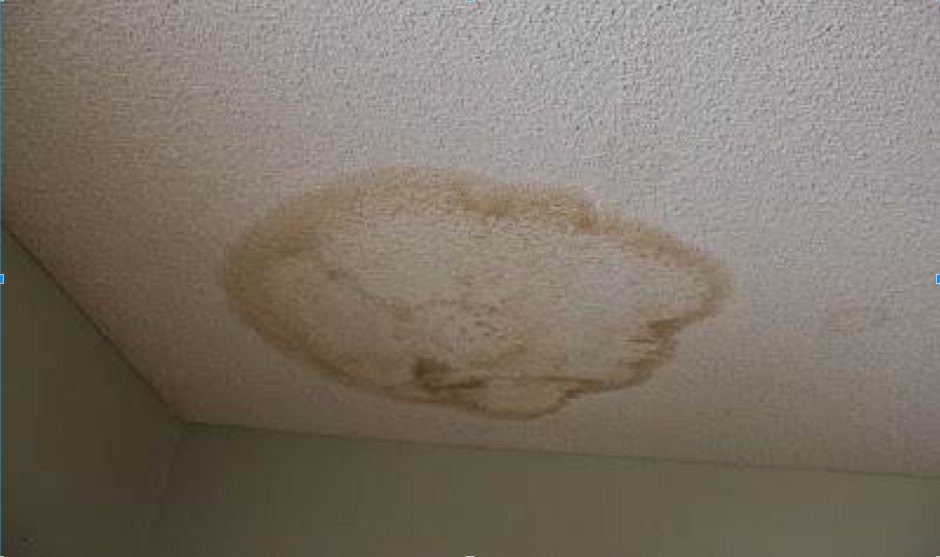 Темные пятна на потолке