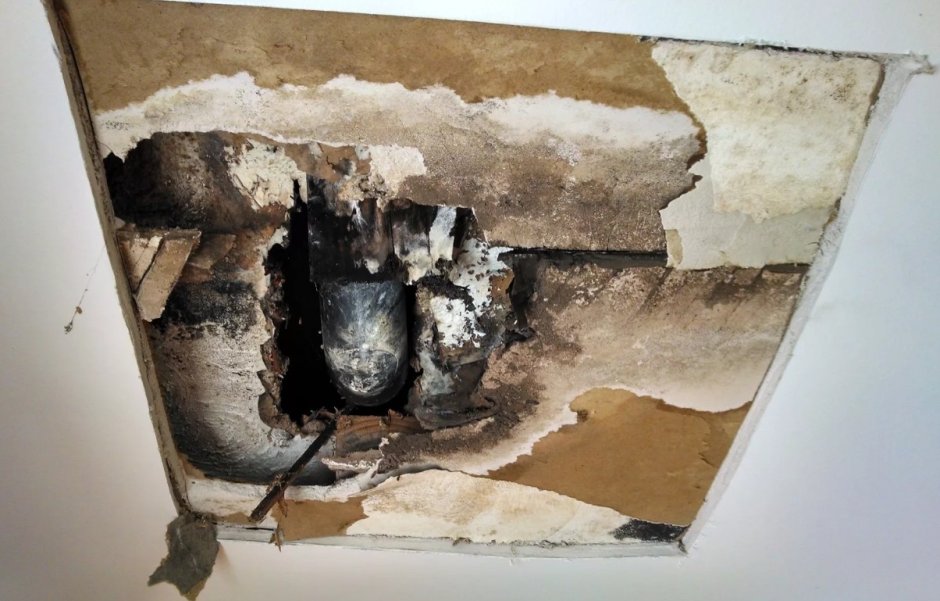 Грибок на потолке