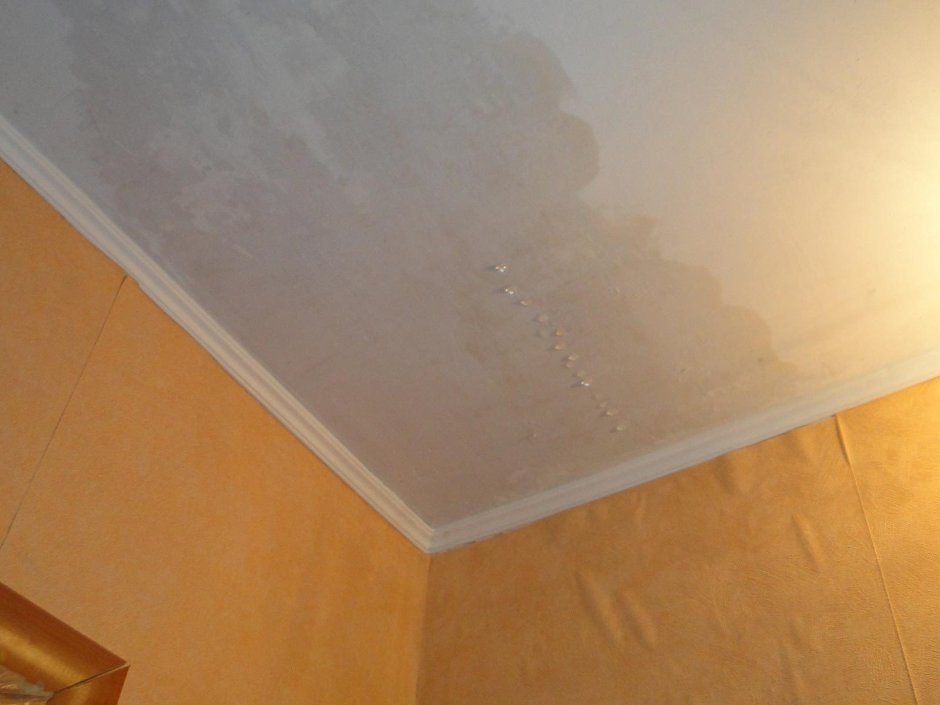 Грибок на штукатуренных стенах