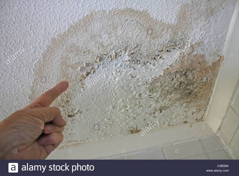 Обои после затопления