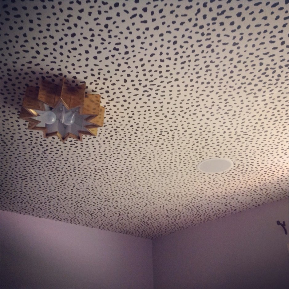 Высолы на штукатурке